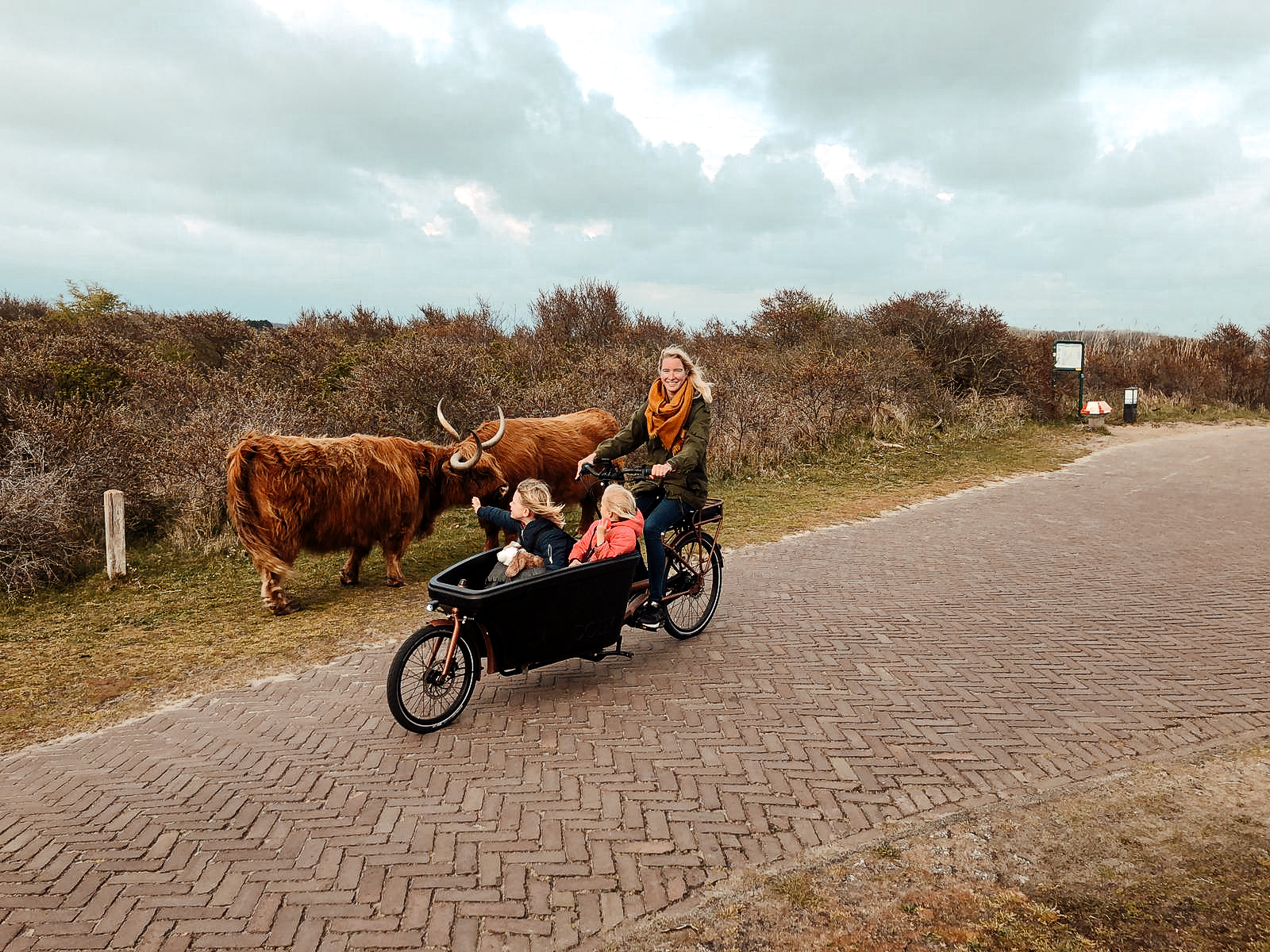 dolly bakfiets ervaring