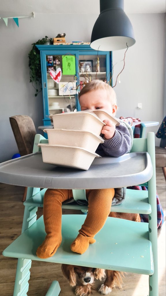 eerste hapje baby frootie