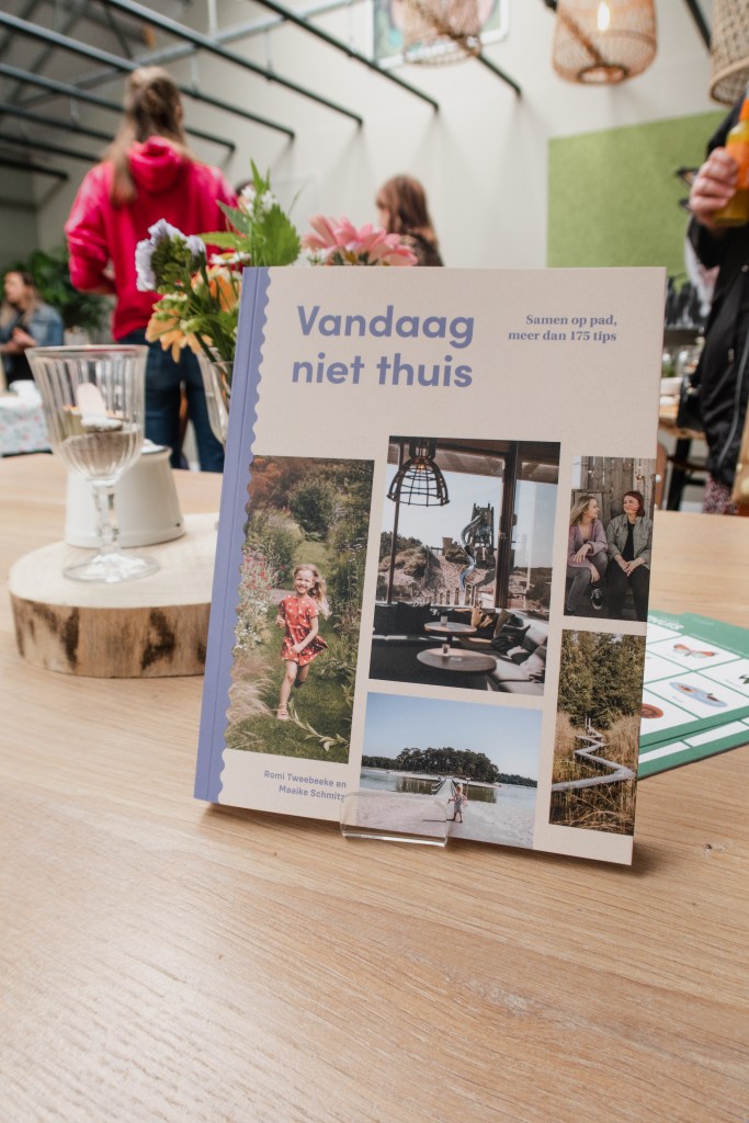 Vandaag niet thuis boek