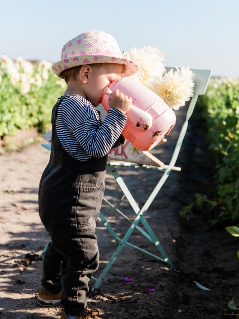Anouk Boetzer fotografie - tips voor fotoalbum maken. DO NOT USE THIS PHOTO WITHOUT MY PERMISSION