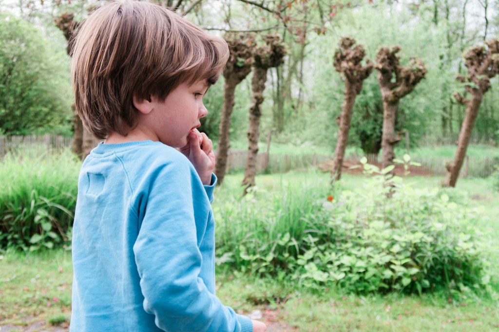 vandaag niet thuis theetuin eemnes