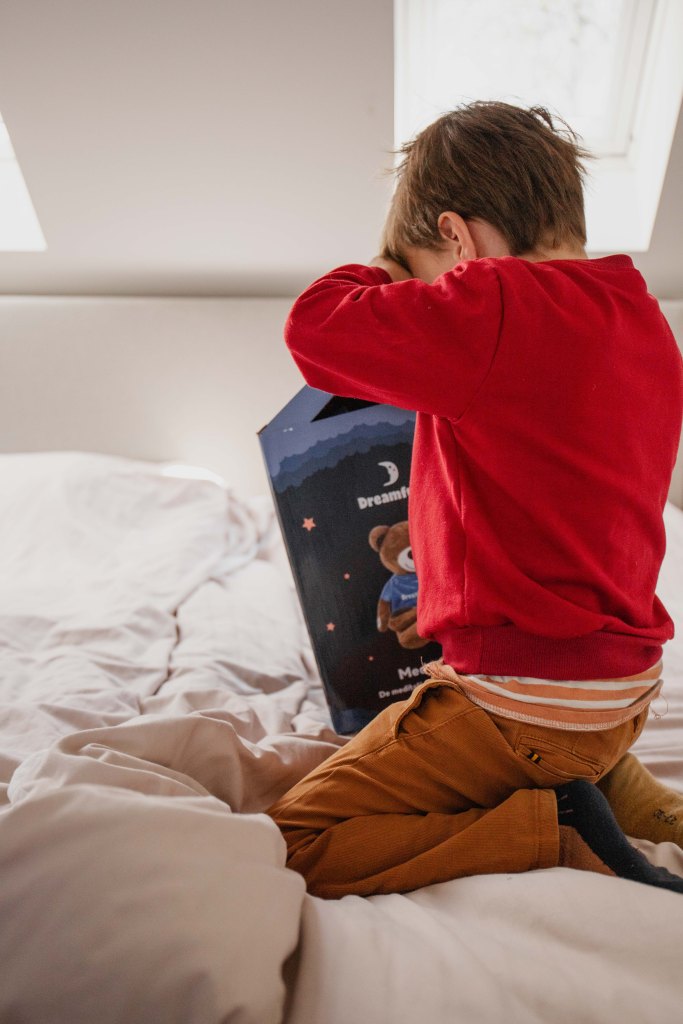 Dreamfully mediatiebeer Meddy